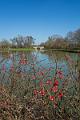 2019_03_23_Canal du Nivernais (0002)